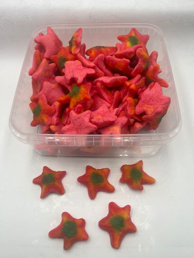 starfish 1Kg bag